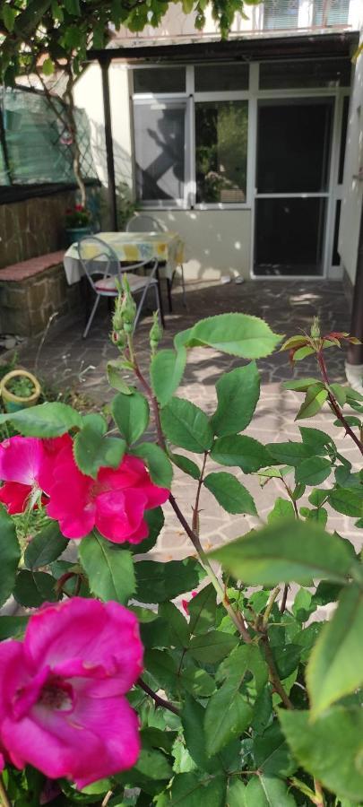 Apartma Marinka Piran Luaran gambar