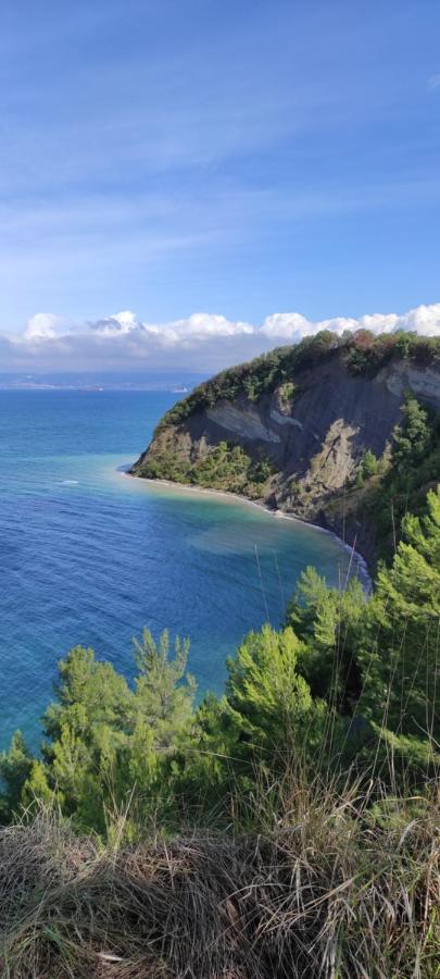 Apartma Marinka Piran Luaran gambar