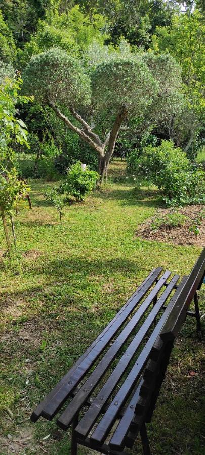 Apartma Marinka Piran Luaran gambar