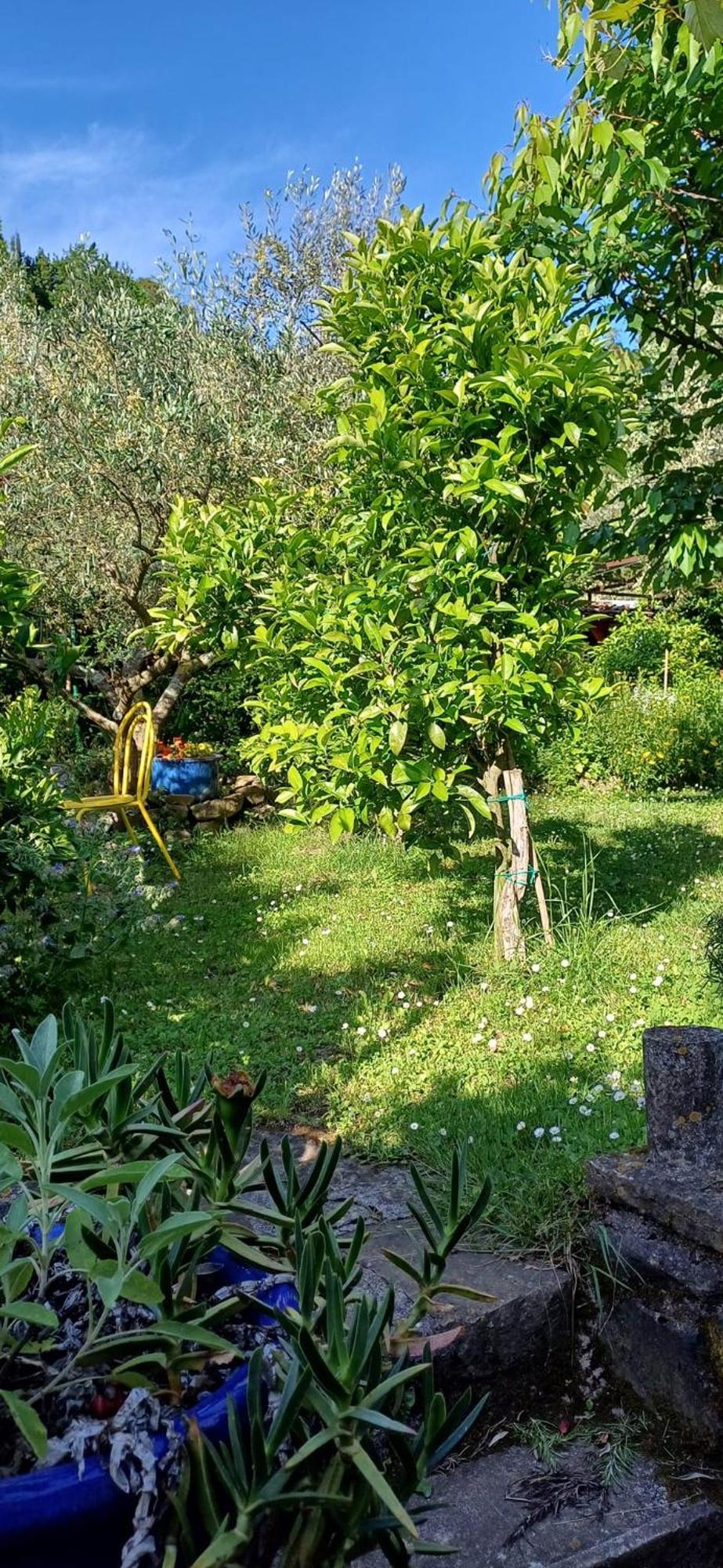 Apartma Marinka Piran Luaran gambar