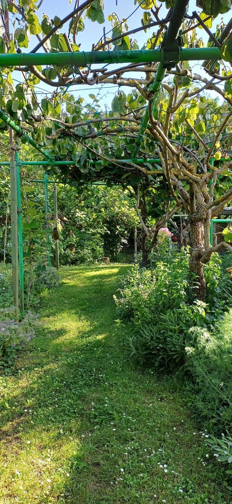Apartma Marinka Piran Luaran gambar
