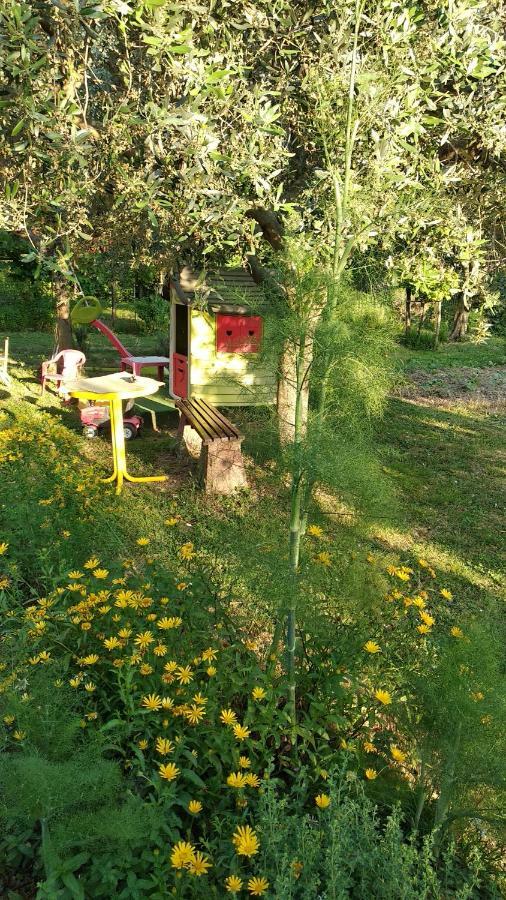 Apartma Marinka Piran Luaran gambar