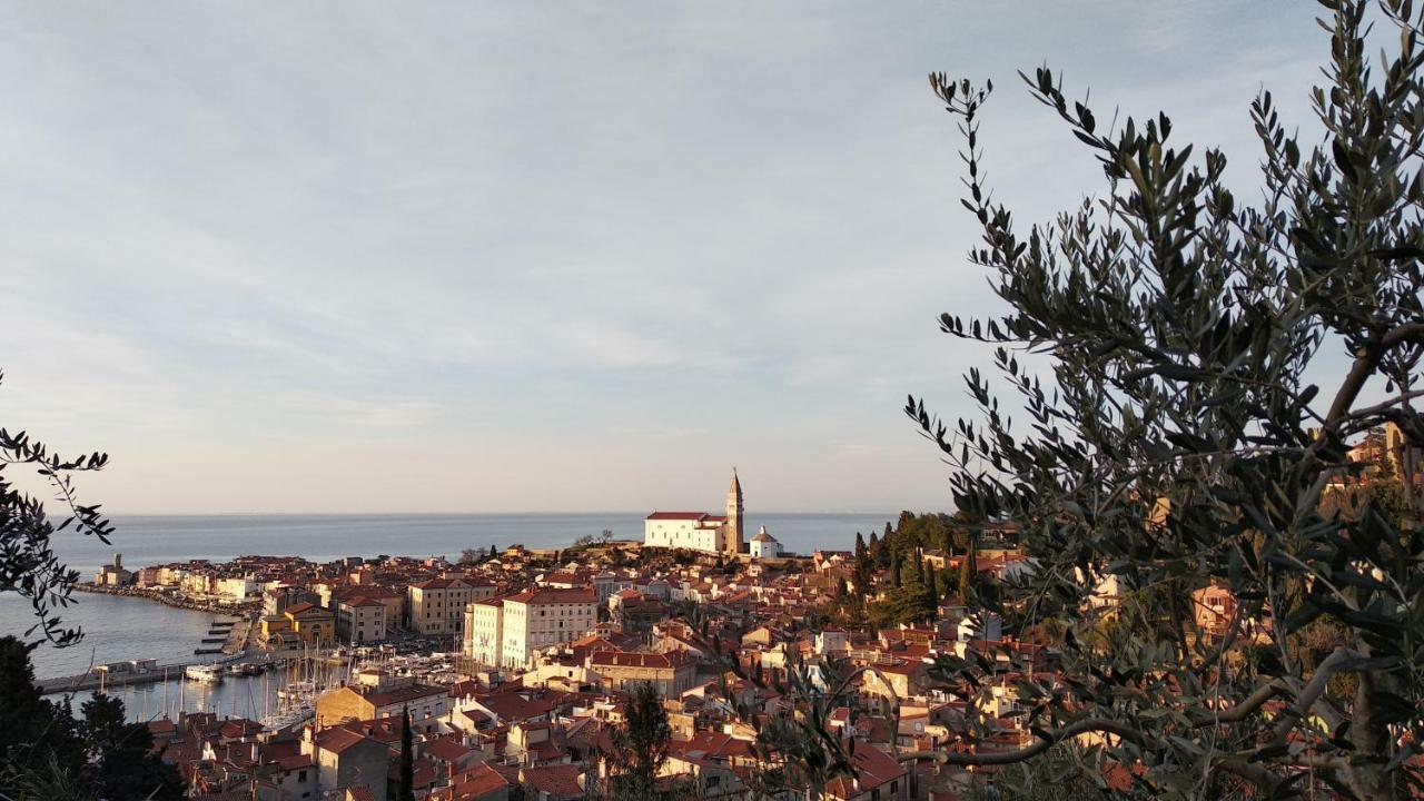 Apartma Marinka Piran Luaran gambar
