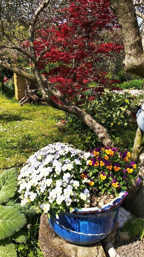 Apartma Marinka Piran Luaran gambar